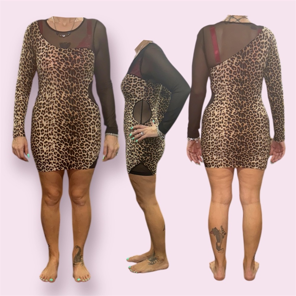Leopard Print Mesh Dress